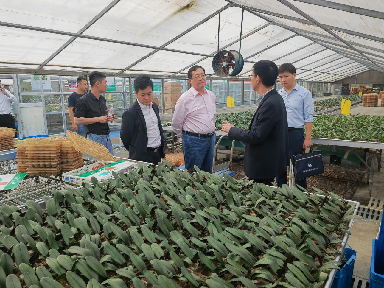 金圣熙带队赴芜湖大浦试验区考察学习(图1) 金圣熙带队赴芜湖大浦试验区考察学习(图1)